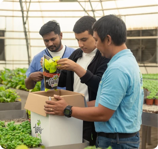 about Job Placement Program